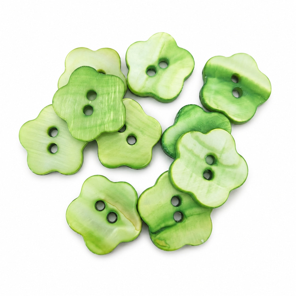 Äkta snäckskalsknapp - 5-pack