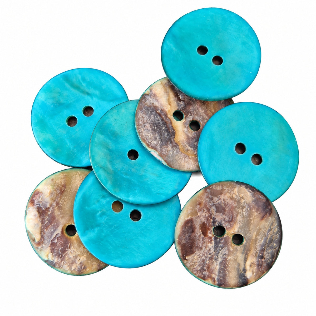 Knapp Myggenässnäckskal Turkos 2-pack 20mm