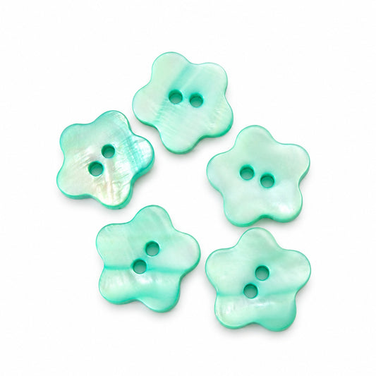 Äkta snäckskalsknapp - 5-pack