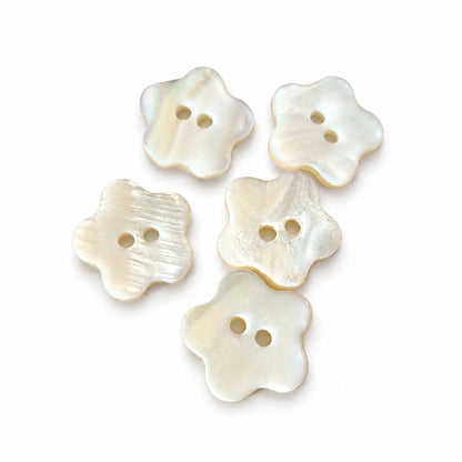 Äkta snäckskalsknapp - 5-pack