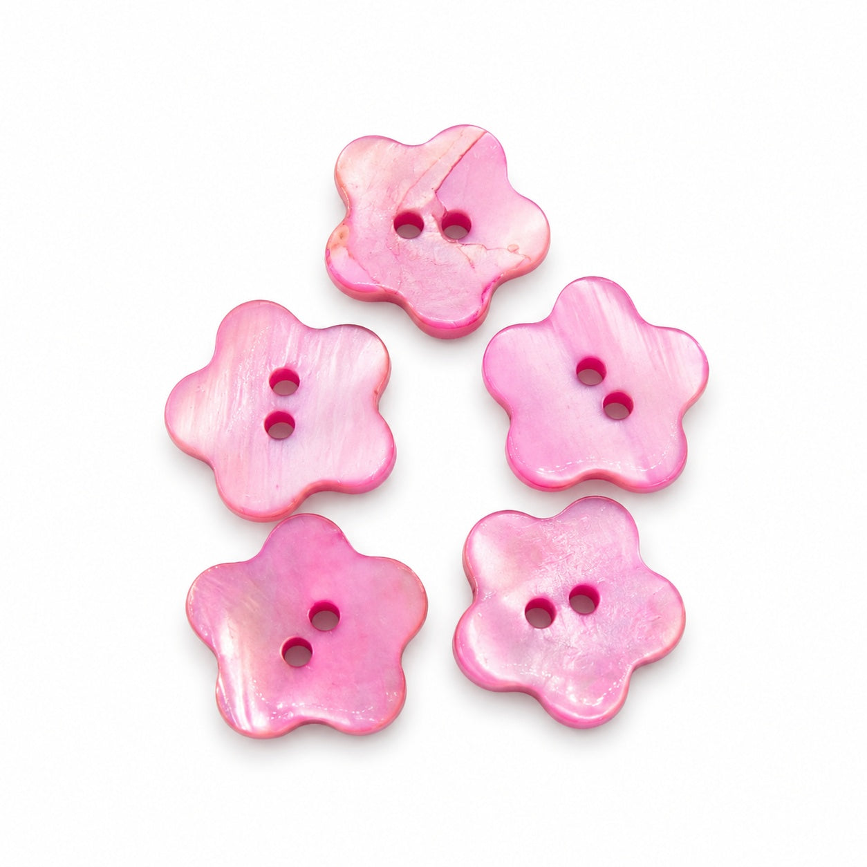 Äkta snäckskalsknapp - 5-pack