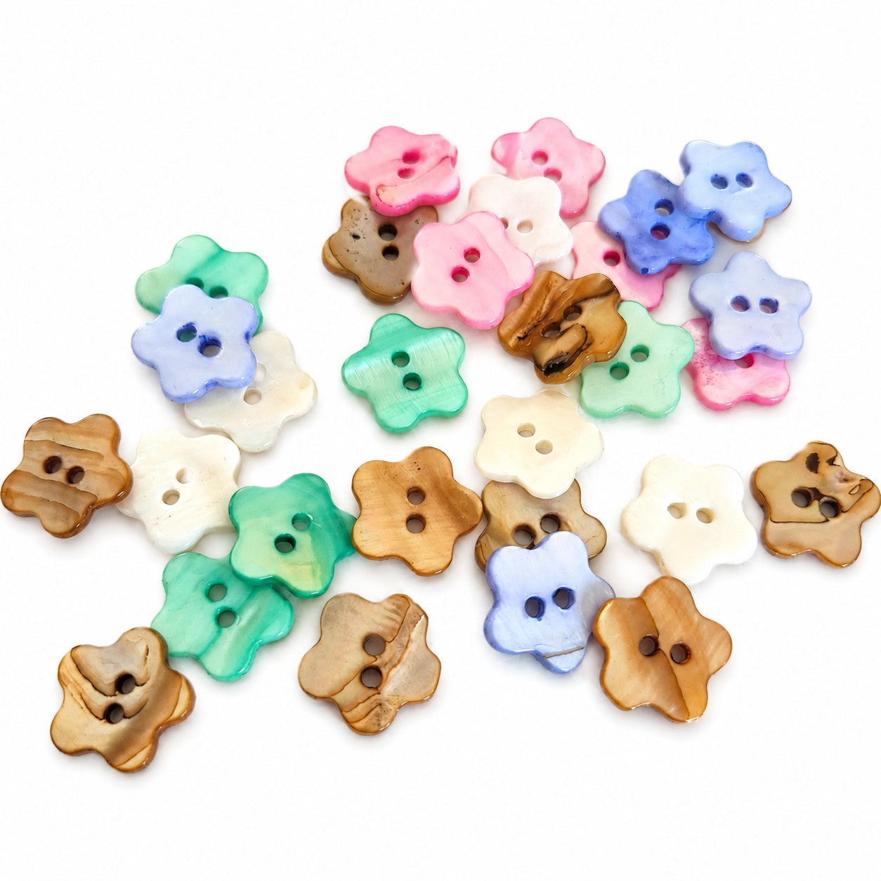 Äkta snäckskalsknapp - 5-pack